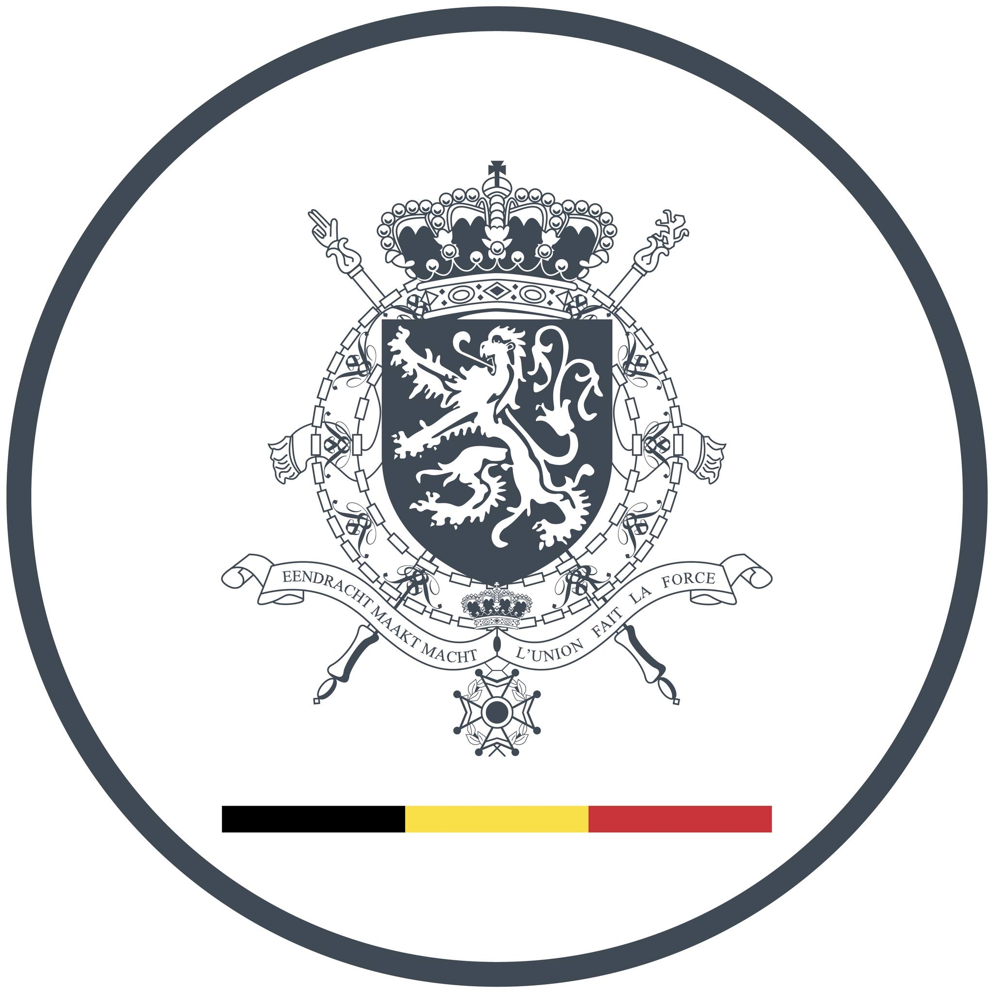 Logo Belgium Ambassy